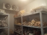 Refrigeração Comercial e Industrial